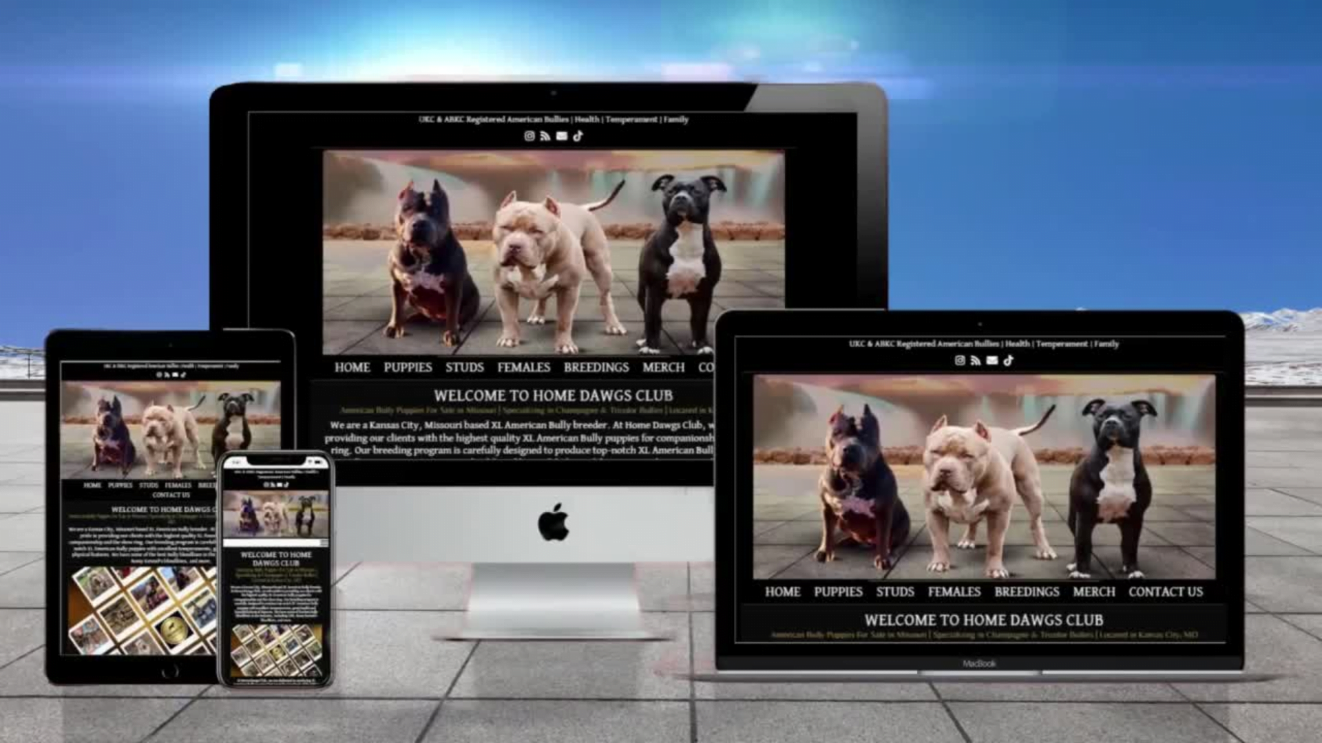 dog breeder website design for american bullies, cane corso, french bulldogs