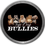 Xl Pitbull Xxl Bully Breeders Topdogbullies kennels puppies for sale rr