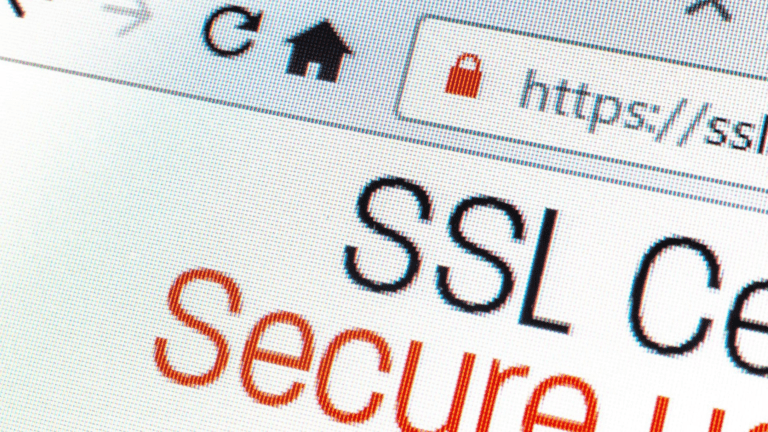 Read more about the article What’s an SSL Certificate & Why is it Needed for My Breeder Site?