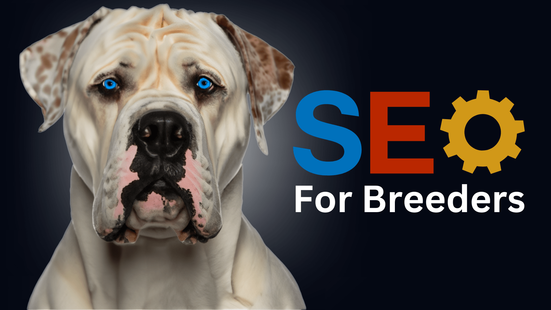 What is SEO and Why Do I Need It for My Pet Breeder Website Design?