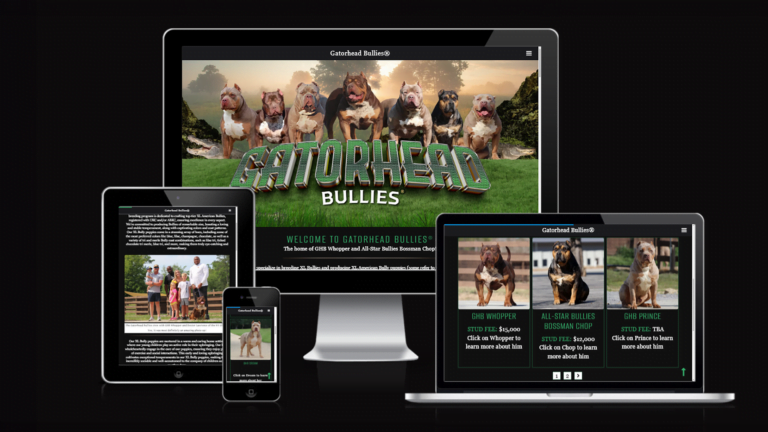 Read more about the article American Bully Web Design: Elevating Your Breeding Business