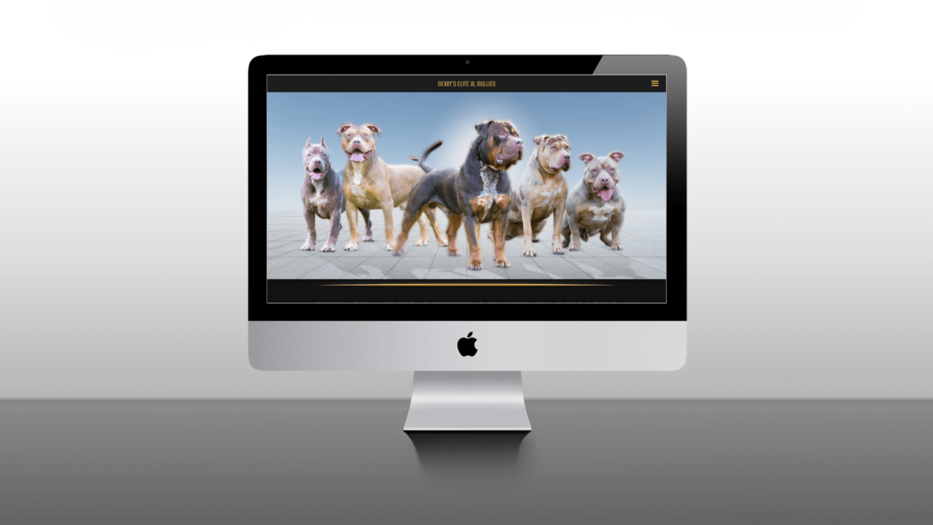 Why a Dog Breeder Web Design is More Effective for Sales Than Social Media