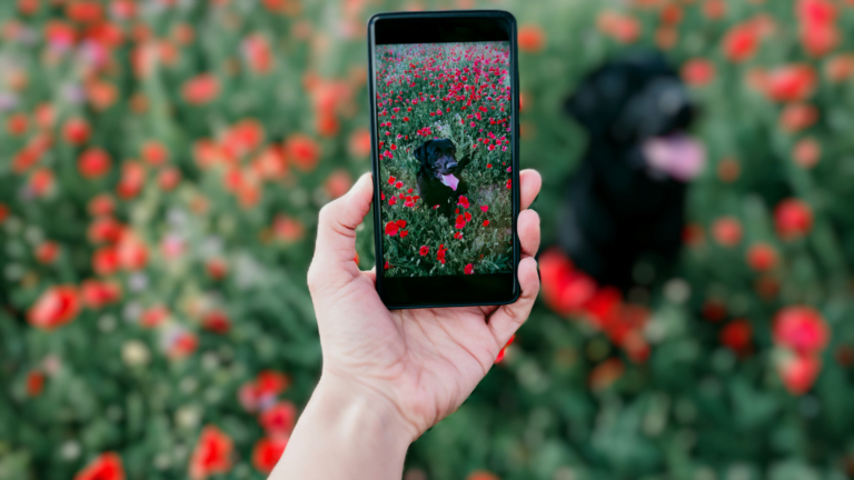 Read more about the article Turning Off Image Optimization on iOS and Android Devices